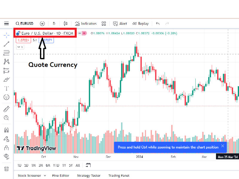 Forex Trading Terminology